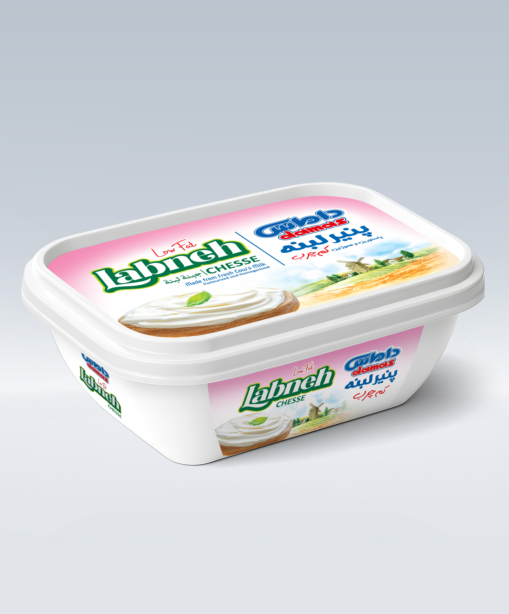 Low-fat-2